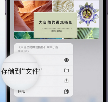 牟定apple维修中心分享iPhone文件应用中存储和找到下载文件