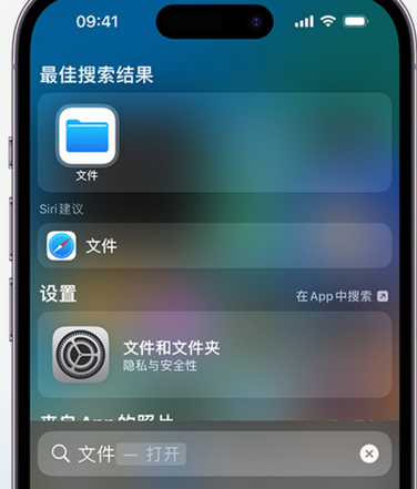 牟定apple维修中心分享iPhone文件应用中存储和找到下载文件 