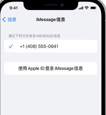 牟定apple维修iPhone上无法正常发送iMessage信息