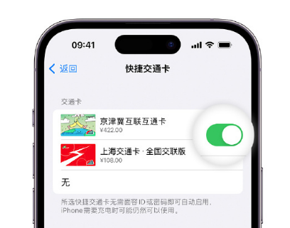 牟定apple维修点分享iPhone上更换Apple Pay快捷交通卡手绘卡面 