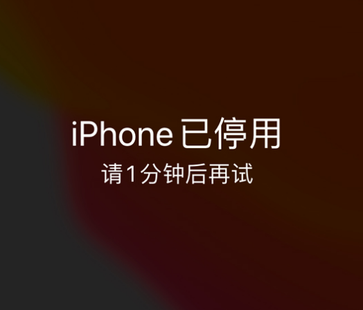 牟定苹果手机维修分享:iPhone 显示“不可用”或“已停用”怎么办？还能保留数据吗？ 