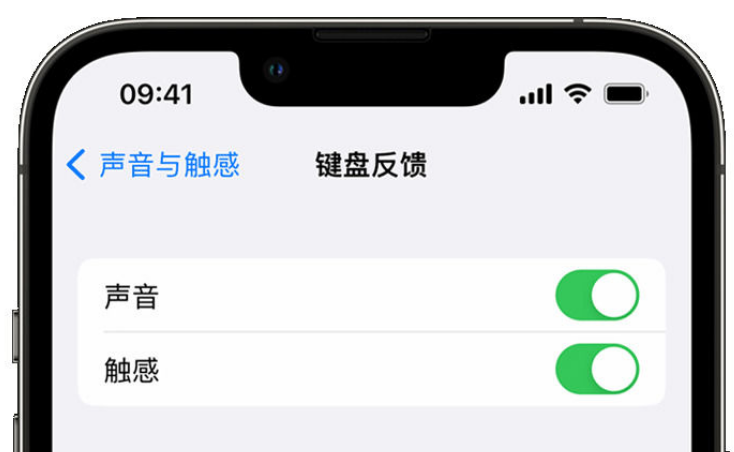 牟定苹果手机维修分享iPhone 14触感键盘使用方法 