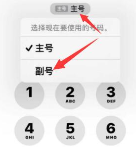 牟定苹果14维修店分享iPhone 14 Pro Max使用副卡打电话的方法 