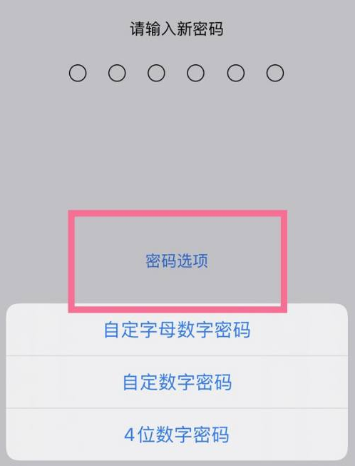 牟定苹果14维修分享iPhone 14plus设置密码的方法 