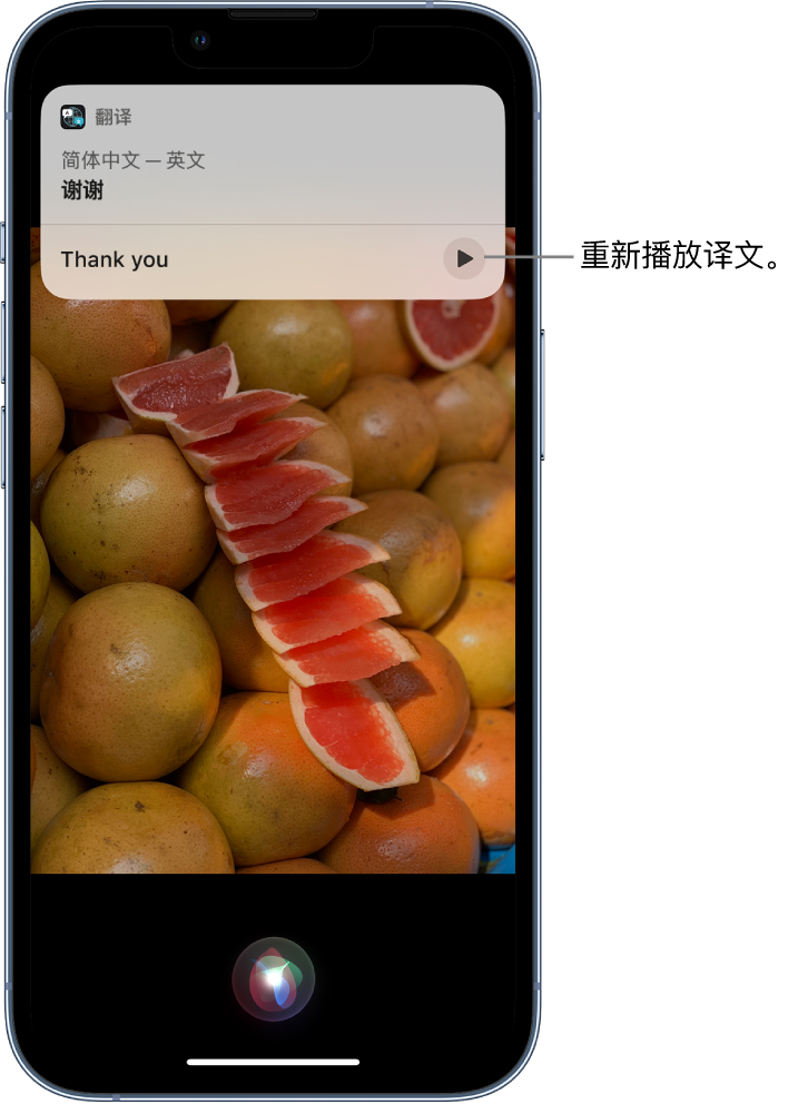 牟定苹果14维修分享 iPhone 14 机型中使用 Siri：了解 Siri 能帮你做什么 