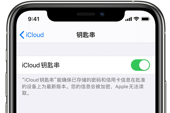 牟定苹果手机维修分享在 iPhone 上开启 iCloud 钥匙串之后会储存哪些信息 