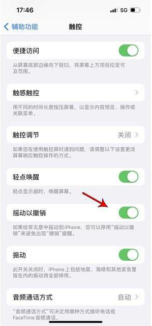 牟定苹果手机维修分享iPhone手机如何设置摇一摇删除文字 